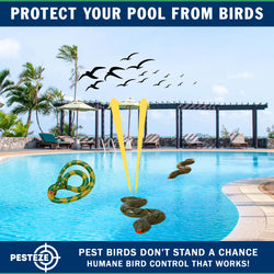 PESTEZE® USA 39 Inch Realistic Inflatable Snakes [3 Pack Multi-Color - 1 Grey-Green + 1 Brown + 1 Yellow-Green] Scares Pest Birds Like Ducks Woodpeckers, Sparrows, Pigeons, Crows, Gulls & Critters from Pools & Yard Without Harming them to Protect Property