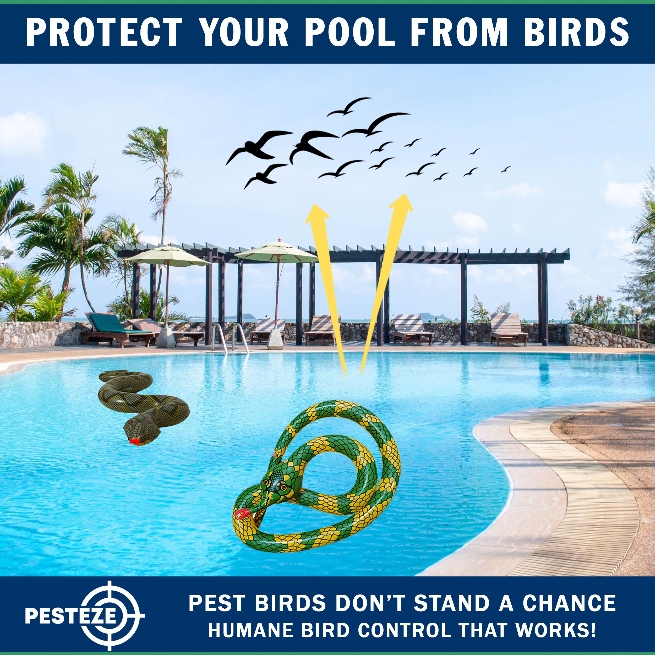 PESTEZE® USA 27 Inch Realistic Inflatable Snakes [2 Pack - 1 Yellow Green + 1 Grey Green] Scares Pest Birds Like Ducks Woodpeckers, Sparrows, Pigeons, Crows, Gulls & Critters from Pools & Yards Without Harming them to Protect Property