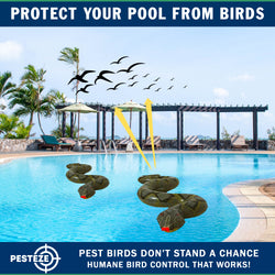 PESTEZE® USA 39 Inch Inflatible Snake [2 Pack Grey-Green Color] Deters Pest Birds like Woodpeckers, Sparrows, Pigeons, Crows, Gulls & Critters from Pools & Yards without Harming them to Protect Property