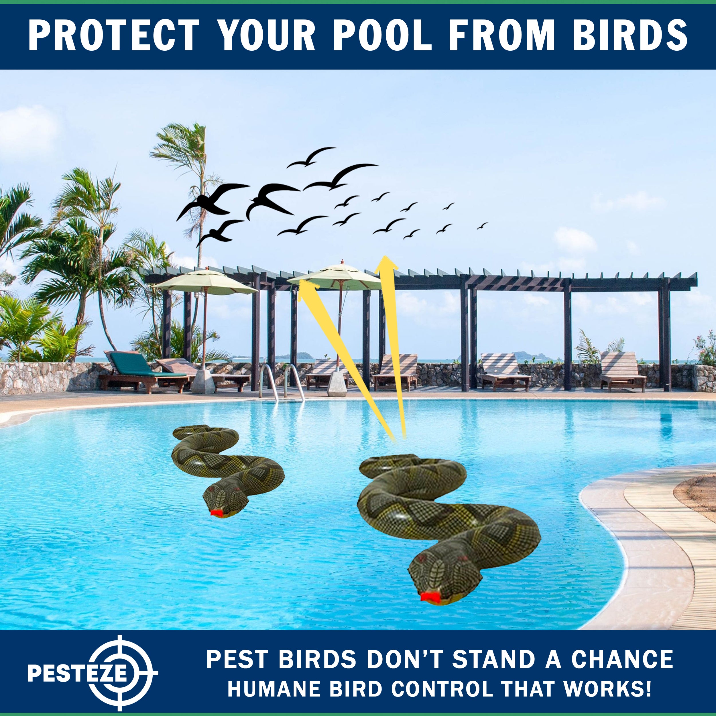 PESTEZE® USA 39 Inch Inflatible Snake [2 Pack Grey-Green Color] Deters Pest Birds like Woodpeckers, Sparrows, Pigeons, Crows, Gulls & Critters from Pools & Yards without Harming them to Protect Property