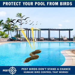PESTEZE® USA Brown 39 Inch Realistic Inflatable Snakes [1 Pack] Repels Pest Birds Like Woodpeckers, Sparrows, Pigeons, Crows, Gulls & Critters from Pools & Yards Without Harming Them to Protect Property