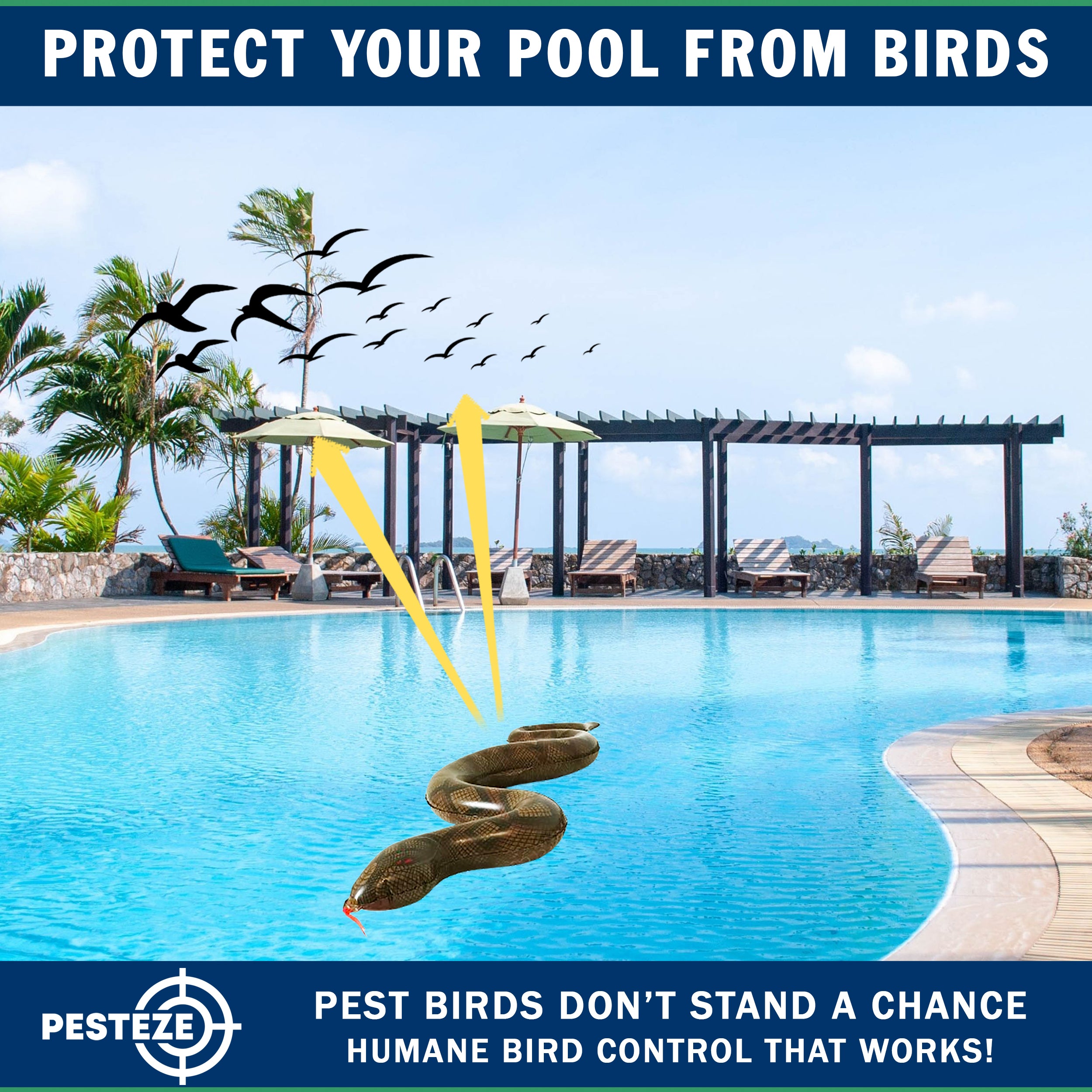 PESTEZE® USA Brown 39 Inch Realistic Inflatable Snakes [1 Pack] Repels Pest Birds Like Woodpeckers, Sparrows, Pigeons, Crows, Gulls & Critters from Pools & Yards Without Harming Them to Protect Property