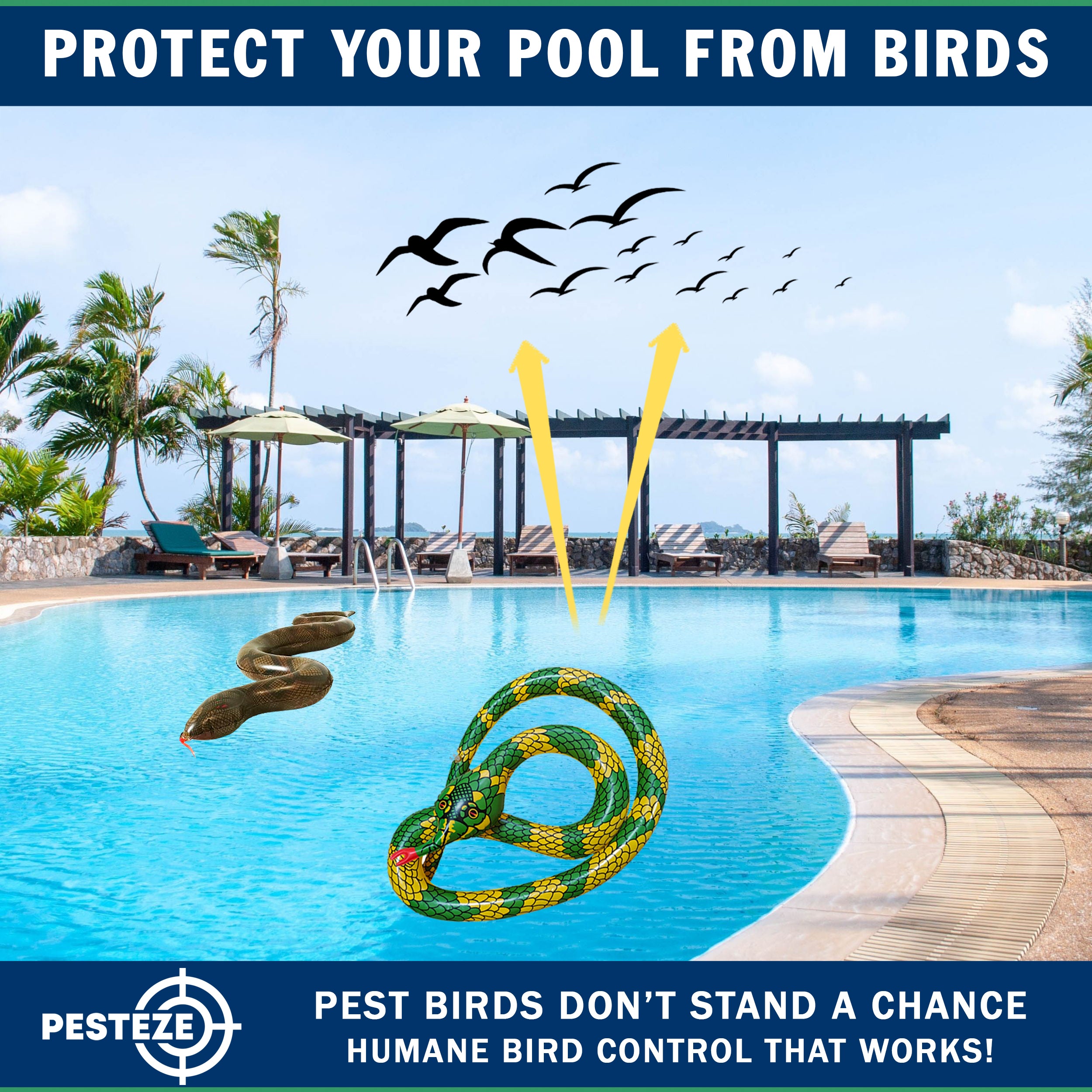 PESTEZE® USA 27 Inch Inflatible Snake [2 Pack - 1 Curly Yellow-Green + 1 Brown] Predators Pest Birds  like Woodpeckers, Sparrows, Pigeons, Crows, Gulls & Critters from Pools & Yards without Harming them to Protect Property