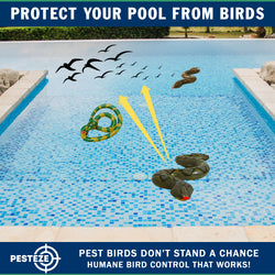 PESTEZE® USA 39 Inch Realistic Inflatable Snakes [3 Pack Multi-Color - 1 Grey-Green + 1 Brown + 1 Yellow-Green] Scares Pest Birds Like Ducks Woodpeckers, Sparrows, Pigeons, Crows, Gulls & Critters from Pools & Yard Without Harming them to Protect Property
