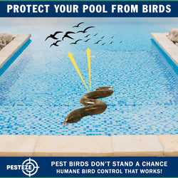 PESTEZE® USA Brown 39 Inch Realistic Inflatable Snakes [1 Pack] Repels Pest Birds Like Woodpeckers, Sparrows, Pigeons, Crows, Gulls & Critters from Pools & Yards Without Harming Them to Protect Property