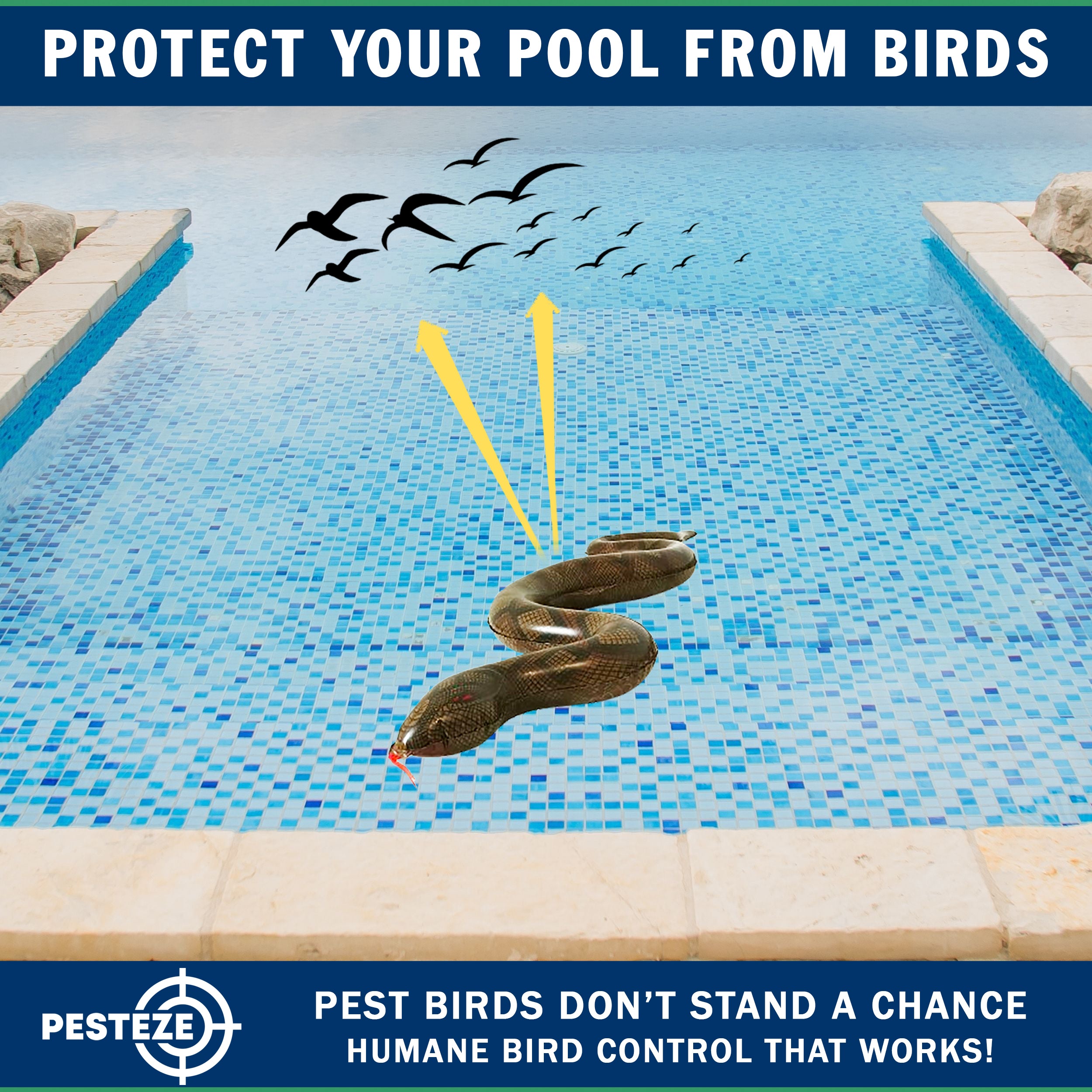 PESTEZE® USA Brown 39 Inch Realistic Inflatable Snakes [1 Pack] Repels Pest Birds Like Woodpeckers, Sparrows, Pigeons, Crows, Gulls & Critters from Pools & Yards Without Harming Them to Protect Property