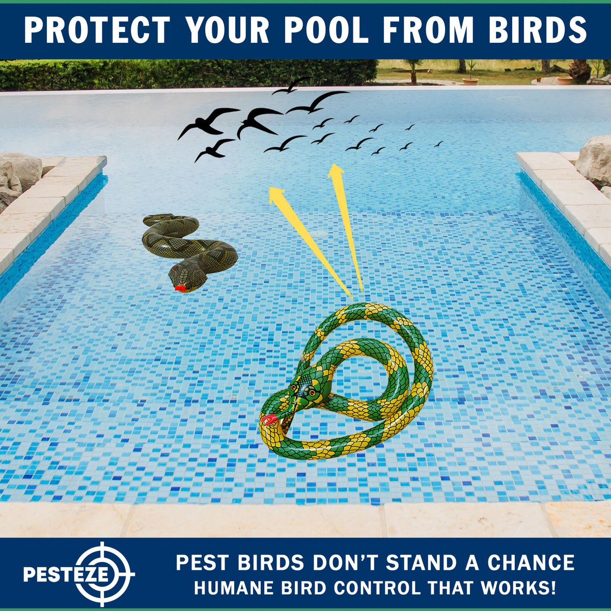 PESTEZE® USA 27 Inch Realistic Inflatable Snakes [2 Pack - 1 Yellow Green + 1 Grey Green] Scares Pest Birds Like Ducks Woodpeckers, Sparrows, Pigeons, Crows, Gulls & Critters from Pools & Yards Without Harming them to Protect Property
