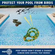 PESTEZE® USA 27 Inch Realistic Inflatable Snakes [2 Pack - 1 Yellow Green + 1 Grey Green] Scares Pest Birds Like Ducks Woodpeckers, Sparrows, Pigeons, Crows, Gulls & Critters from Pools & Yards Without Harming them to Protect Property