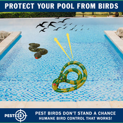 PESTEZE® USA 27 Inch Realistic Inflatable Snakes [2 Pack - 1 Yellow Green + 1 Grey Green] Scares Pest Birds Like Ducks Woodpeckers, Sparrows, Pigeons, Crows, Gulls & Critters from Pools & Yards Without Harming them to Protect Property