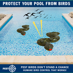PESTEZE® USA 39 Inch Inflatible Snake [2 Pack Grey-Green Color] Deters Pest Birds like Woodpeckers, Sparrows, Pigeons, Crows, Gulls & Critters from Pools & Yards without Harming them to Protect Property