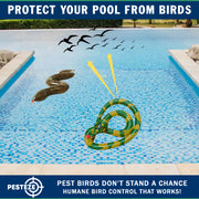 PESTEZE® USA 27 Inch Inflatible Snake [2 Pack - 1 Curly Yellow-Green + 1 Brown] Predators Pest Birds  like Woodpeckers, Sparrows, Pigeons, Crows, Gulls & Critters from Pools & Yards without Harming them to Protect Property