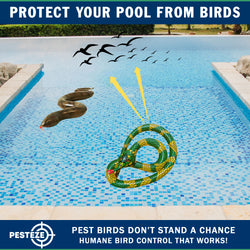 PESTEZE® USA 27 Inch Inflatible Snake [2 Pack - 1 Curly Yellow-Green + 1 Brown] Predators Pest Birds  like Woodpeckers, Sparrows, Pigeons, Crows, Gulls & Critters from Pools & Yards without Harming them to Protect Property