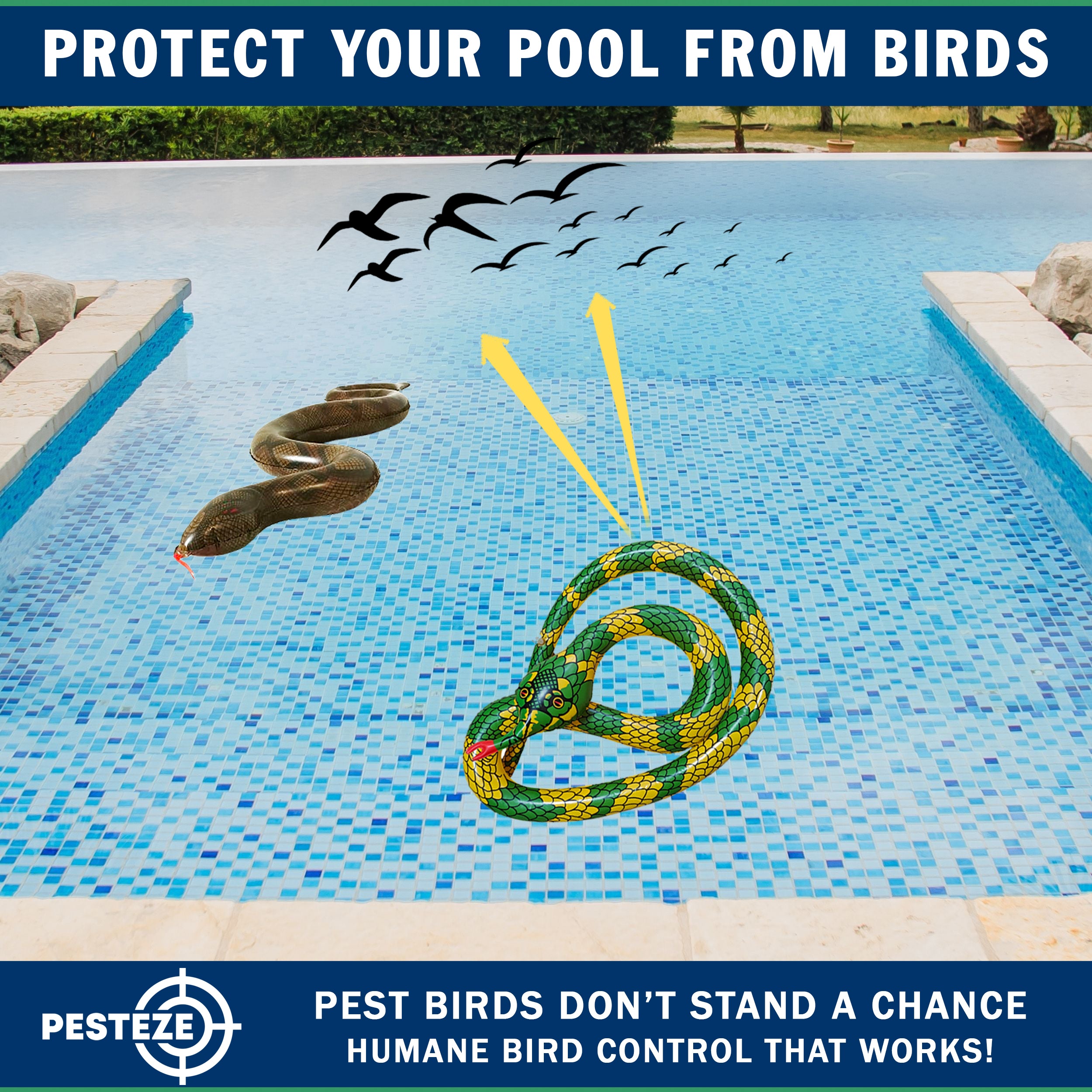 PESTEZE® USA 27 Inch Inflatible Snake [2 Pack - 1 Curly Yellow-Green + 1 Brown] Predators Pest Birds  like Woodpeckers, Sparrows, Pigeons, Crows, Gulls & Critters from Pools & Yards without Harming them to Protect Property