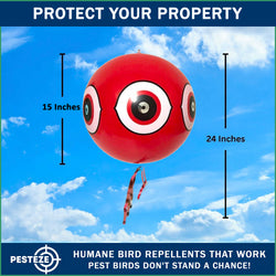 PESTEZE® Large 15" Red Bird Predator-Eye Balloon Deterrent [1 Pack] Scares Unwanted Pest Birds like Pigeons, Gulls, Geese & Critters from Pools & Yards without Harming them to Protect Property