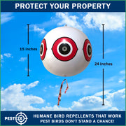 PESTEZE® USA Large 15" White Bird Predator-Eye Balloon Decoy [3 Pack White Color] Deters Unwanted Pest Birds like Pigeons, Gulls, Geese & Critters from Pools & Yards Without Harming Them To Protect Property