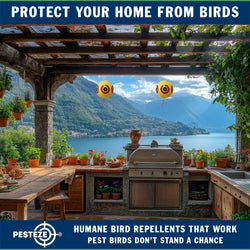 PESTEZE® Large 15" Yellow Bird Predator-Eye Balloon Decoy [1 Pack] Deters Unwanted Pest Birds like Pigeons, Gulls, Geese & Critters from Pools & Yards Without Harming Them To Protect Property