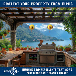 PESTEZE® Large 15" Yellow Bird Predator-Eye Balloon Decoy [1 Pack] Deters Unwanted Pest Birds like Pigeons, Gulls, Geese & Critters from Pools & Yards Without Harming Them To Protect Property