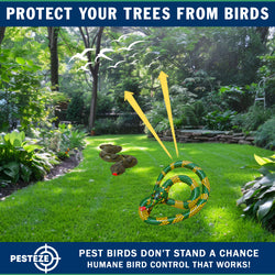 PESTEZE® USA 27 Inch Realistic Inflatable Snakes [2 Pack - 1 Yellow Green + 1 Grey Green] Scares Pest Birds Like Ducks Woodpeckers, Sparrows, Pigeons, Crows, Gulls & Critters from Pools & Yards Without Harming them to Protect Property