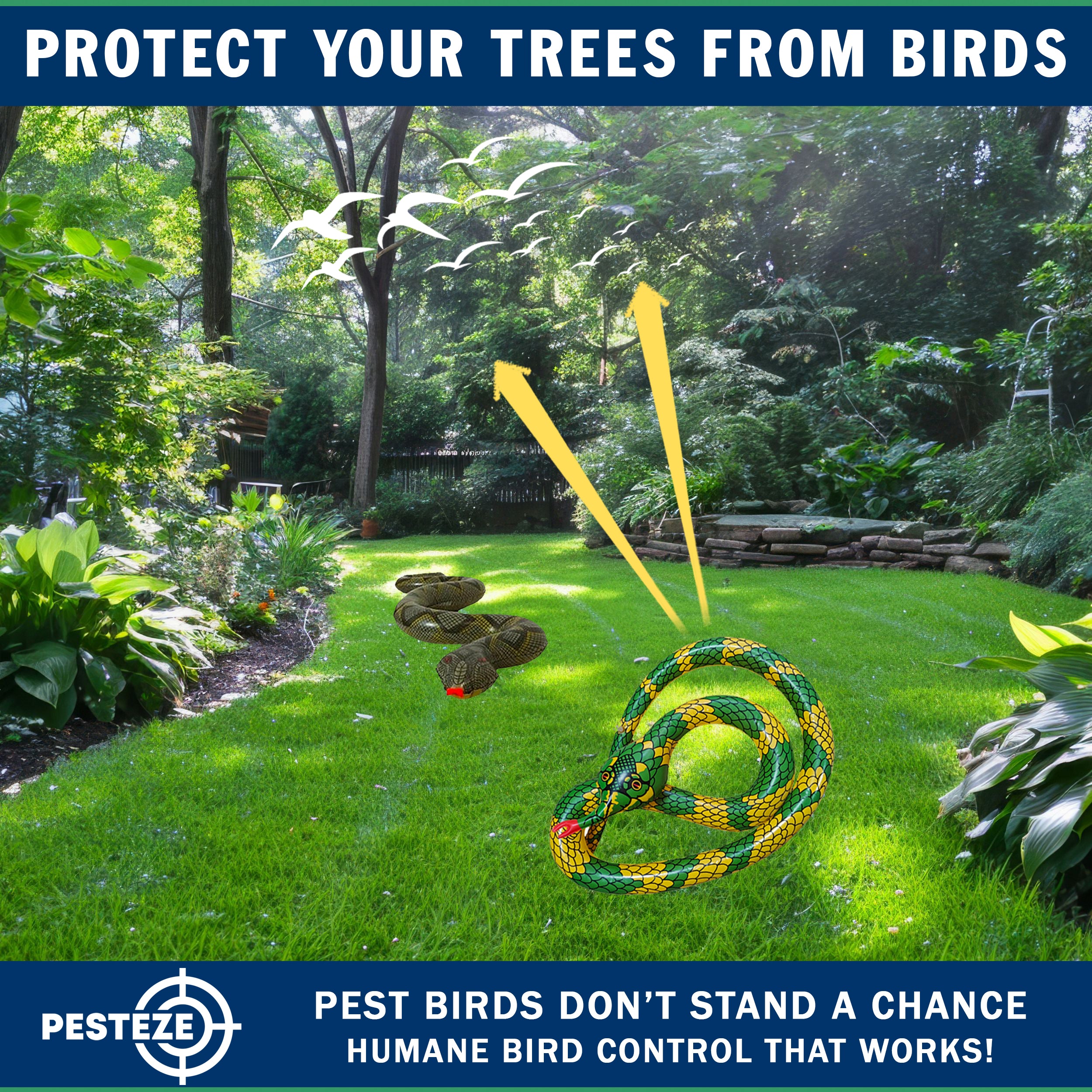 PESTEZE® USA 27 Inch Realistic Inflatable Snakes [2 Pack - 1 Yellow Green + 1 Grey Green] Scares Pest Birds Like Ducks Woodpeckers, Sparrows, Pigeons, Crows, Gulls & Critters from Pools & Yards Without Harming them to Protect Property