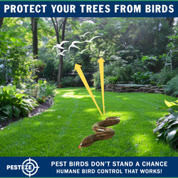 PESTEZE® USA Brown 39 Inch Realistic Inflatable Snakes [1 Pack] Repels Pest Birds Like Woodpeckers, Sparrows, Pigeons, Crows, Gulls & Critters from Pools & Yards Without Harming Them to Protect Property