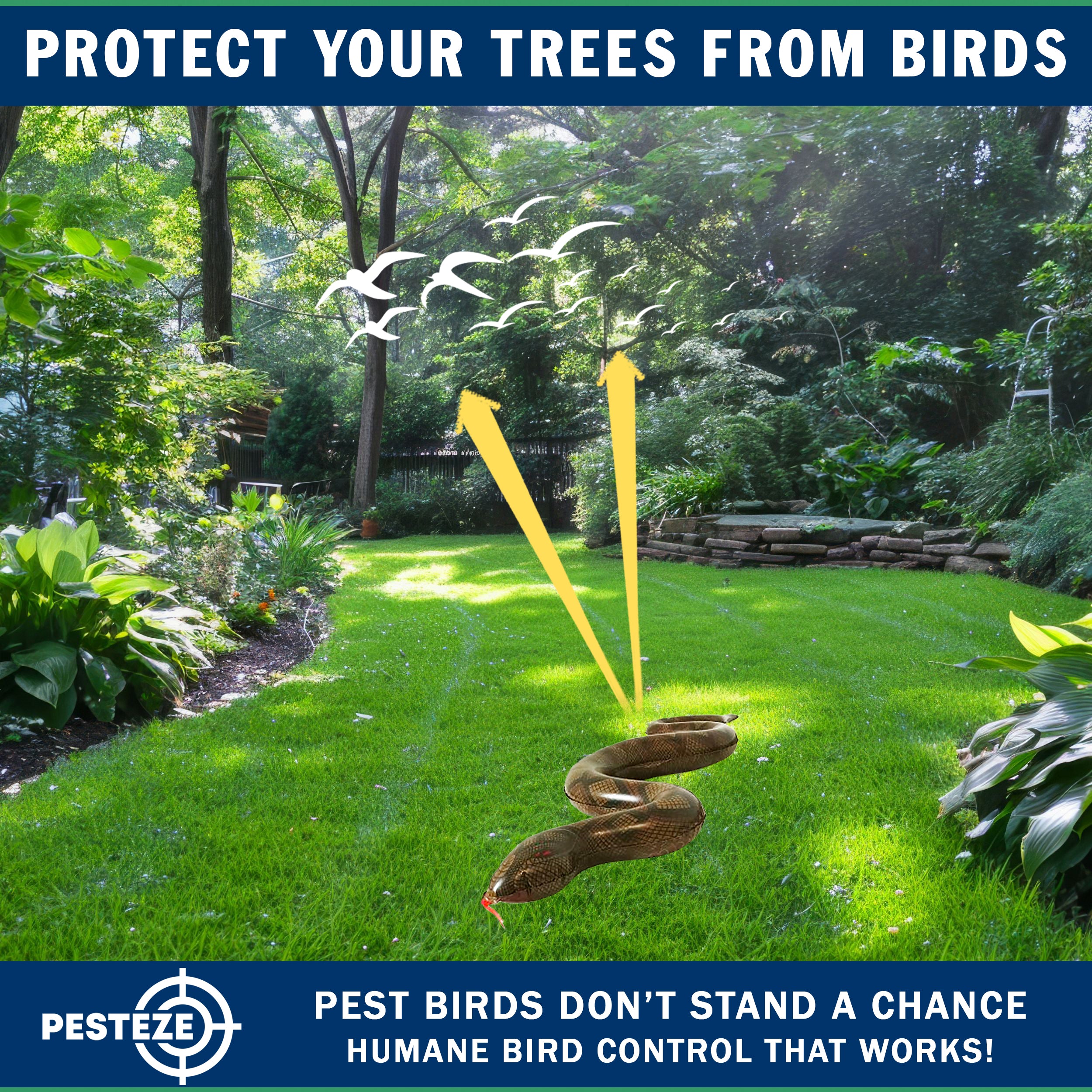 PESTEZE® USA Brown 39 Inch Realistic Inflatable Snakes [1 Pack] Repels Pest Birds Like Woodpeckers, Sparrows, Pigeons, Crows, Gulls & Critters from Pools & Yards Without Harming Them to Protect Property