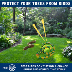 PESTEZE® USA 27 Inch Inflatible Snake [2 Pack - 1 Curly Yellow-Green + 1 Brown] Predators Pest Birds  like Woodpeckers, Sparrows, Pigeons, Crows, Gulls & Critters from Pools & Yards without Harming them to Protect Property