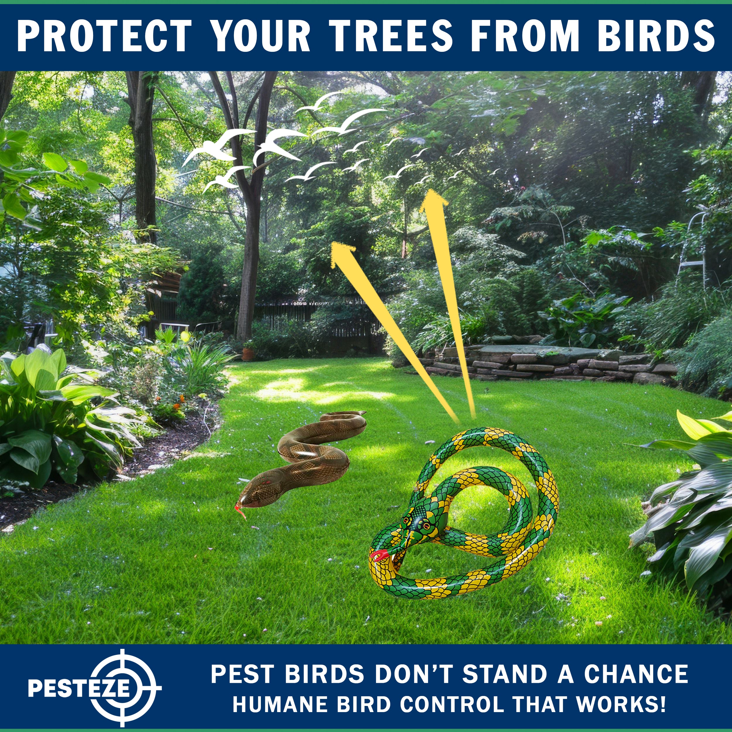 PESTEZE® USA 27 Inch Inflatible Snake [2 Pack - 1 Curly Yellow-Green + 1 Brown] Predators Pest Birds  like Woodpeckers, Sparrows, Pigeons, Crows, Gulls & Critters from Pools & Yards without Harming them to Protect Property