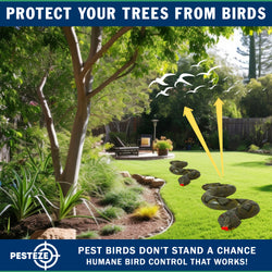 PESTEZE® USA 39 Inch Inflatible Snake [2 Pack Grey-Green Color] Deters Pest Birds like Woodpeckers, Sparrows, Pigeons, Crows, Gulls & Critters from Pools & Yards without Harming them to Protect Property