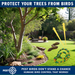 PESTEZE® USA 27 Inch Inflatible Snake [2 Pack - 1 Curly Yellow-Green + 1 Brown] Predators Pest Birds  like Woodpeckers, Sparrows, Pigeons, Crows, Gulls & Critters from Pools & Yards without Harming them to Protect Property