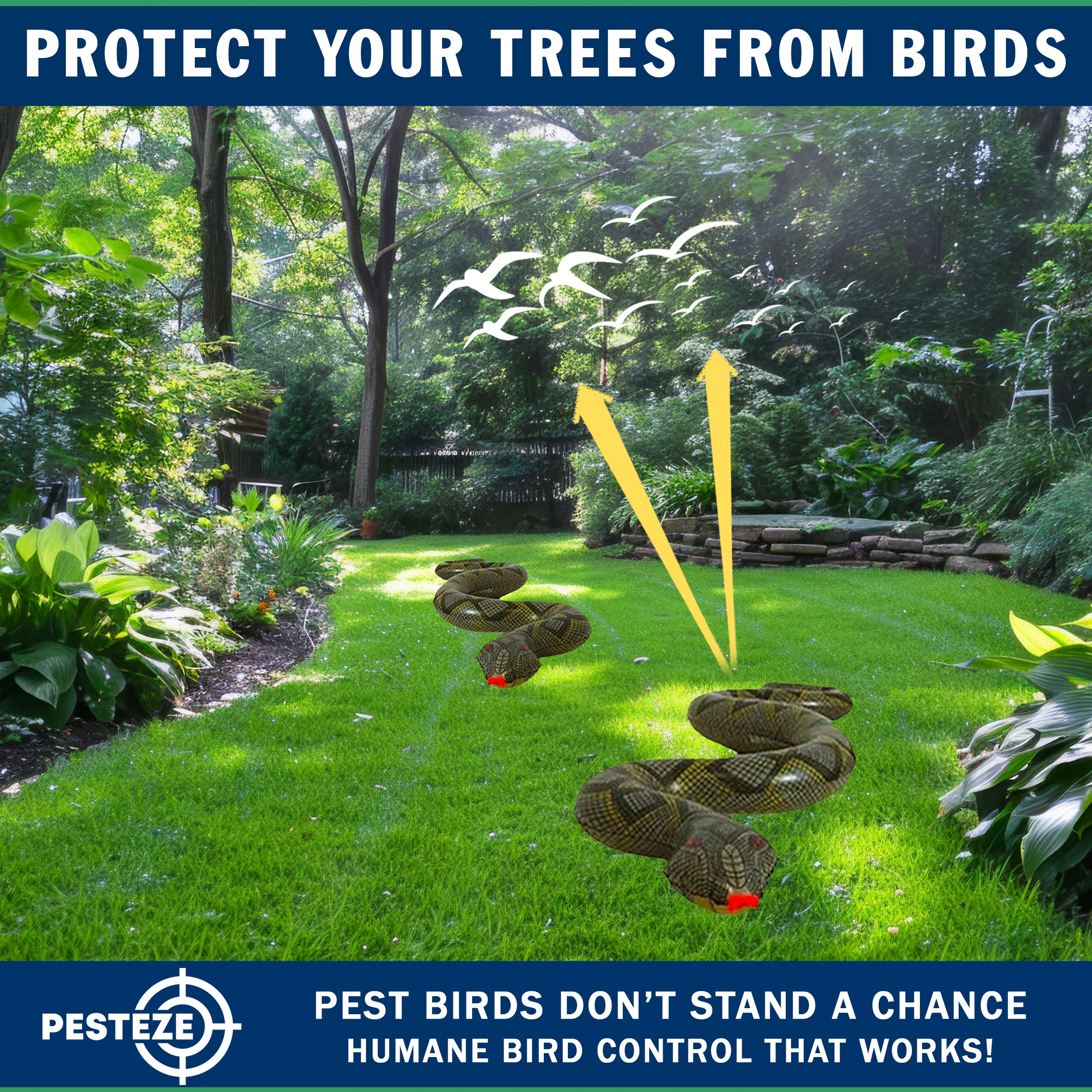 PESTEZE® USA 39 Inch Inflatible Snake [2 Pack Grey-Green Color] Deters Pest Birds like Woodpeckers, Sparrows, Pigeons, Crows, Gulls & Critters from Pools & Yards without Harming them to Protect Property