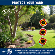PESTEZE® USA Bird Deterrent Discs 3 Pack–Holographic Reflective Circles with Predator Eyes & Bell to Scare Birds Away–Humane Repellent Keeps Birds, Pigeons, Crows & Sparrows from Gardens, Trees, Patios
