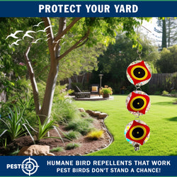 3 Pack PESTEZE® Set of 3 Holographic Shiny Circles with Predator Eyes & Bell [3 x 15 inch] Reflection Scares Pest Birds like Woodpeckers, Sparrows, Pigeons, Crows, Gulls & Critters without Harming them