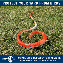 PESTEZE® Variety 27 Inch Realistic Rubber Snakes [5 Pack] Scares Pest Bids like Woodpeckers, Sparrows, Pigeons, Crows, Gulls & Critters without Harming them to Protect Property