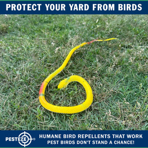 PESTEZE® Variety 27 Inch Realistic Rubber Snakes [5 Pack] Scares Pest Bids like Woodpeckers, Sparrows, Pigeons, Crows, Gulls & Critters without Harming them to Protect Property