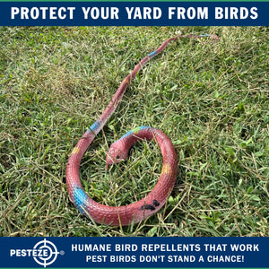 PESTEZE® Variety 27 Inch Realistic Rubber Snakes [5 Pack] Scares Pest Bids like Woodpeckers, Sparrows, Pigeons, Crows, Gulls & Critters without Harming them to Protect Property