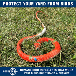 PESTEZE® Variety 27 Inch Realistic Rubber Snakes [5 Pack] Scares Pest Bids like Woodpeckers, Sparrows, Pigeons, Crows, Gulls & Critters without Harming them to Protect Property