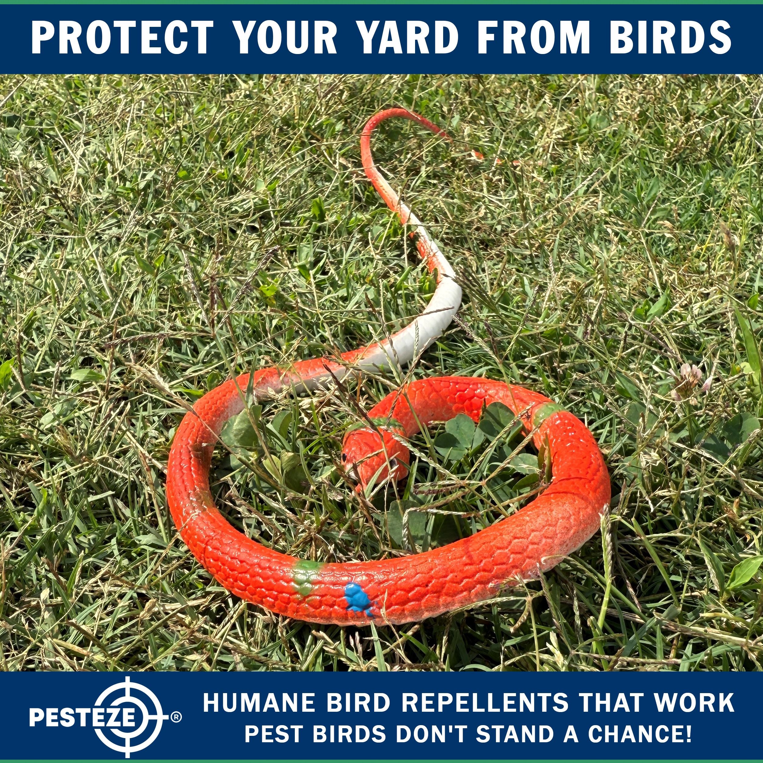PESTEZE® Variety 27 Inch Realistic Rubber Snakes [5 Pack] Scares Pest Bids like Woodpeckers, Sparrows, Pigeons, Crows, Gulls & Critters without Harming them to Protect Property