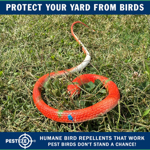 PESTEZE® Variety 27 Inch Realistic Rubber Snakes [5 Pack] Scares Pest Bids like Woodpeckers, Sparrows, Pigeons, Crows, Gulls & Critters without Harming them to Protect Property