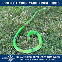 PESTEZE® Variety 27 Inch Realistic Rubber Snakes [5 Pack] Scares Pest Bids like Woodpeckers, Sparrows, Pigeons, Crows, Gulls & Critters without Harming them to Protect Property