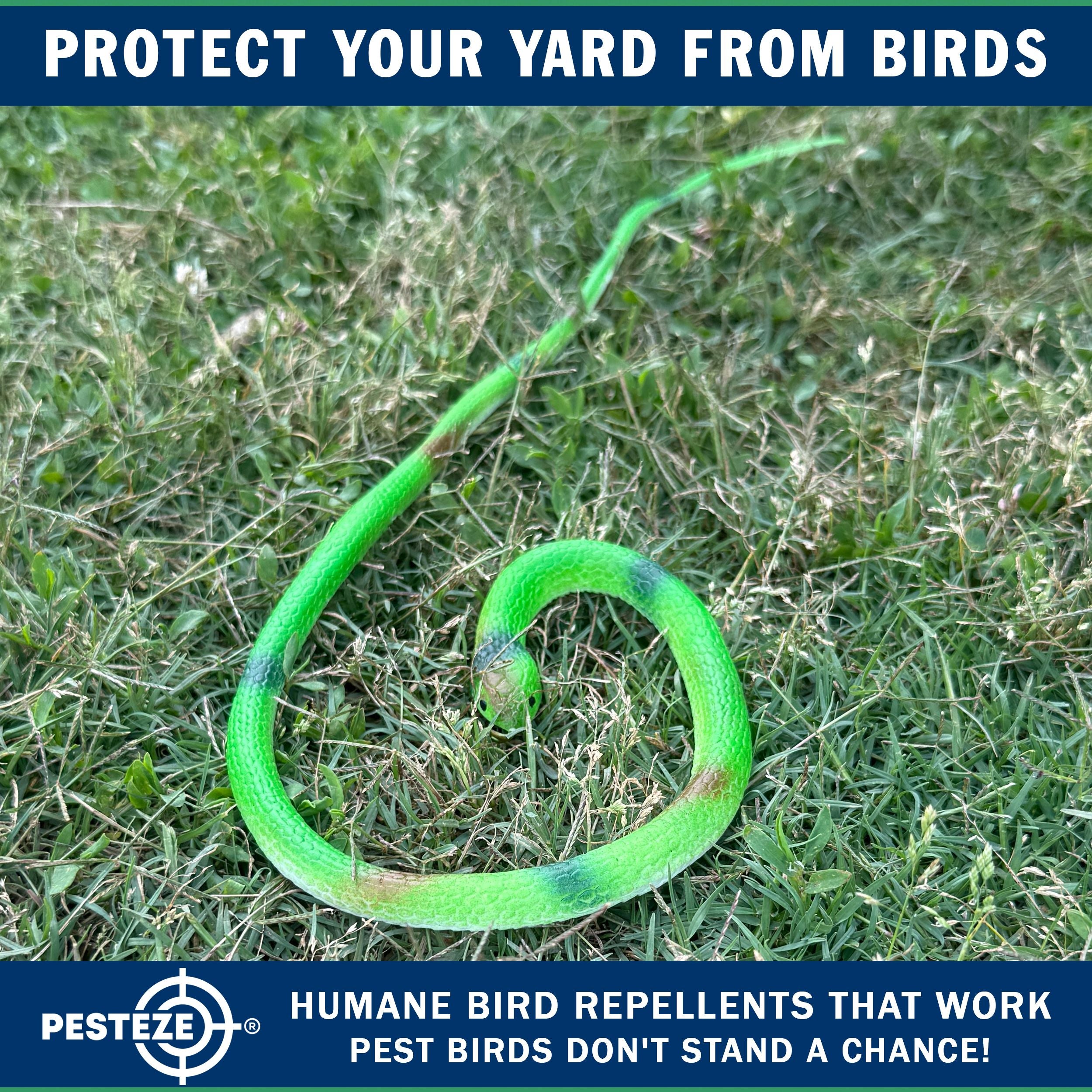 PESTEZE® Variety 27 Inch Realistic Rubber Snakes [5 Pack] Scares Pest Bids like Woodpeckers, Sparrows, Pigeons, Crows, Gulls & Critters without Harming them to Protect Property