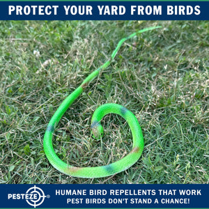 PESTEZE® Variety 27 Inch Realistic Rubber Snakes [5 Pack] Scares Pest Bids like Woodpeckers, Sparrows, Pigeons, Crows, Gulls & Critters without Harming them to Protect Property