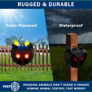 PESTEZE® USA 2 Pack Solar Nocturnal Animal Repeller– Flickering Red Light Deters Deer, Coyote, Fox, Skunk, Raccoon, Rabbit & Birds; Reusable Predator-Eye Deterrent for Yards, Gardens & Livestock Safety