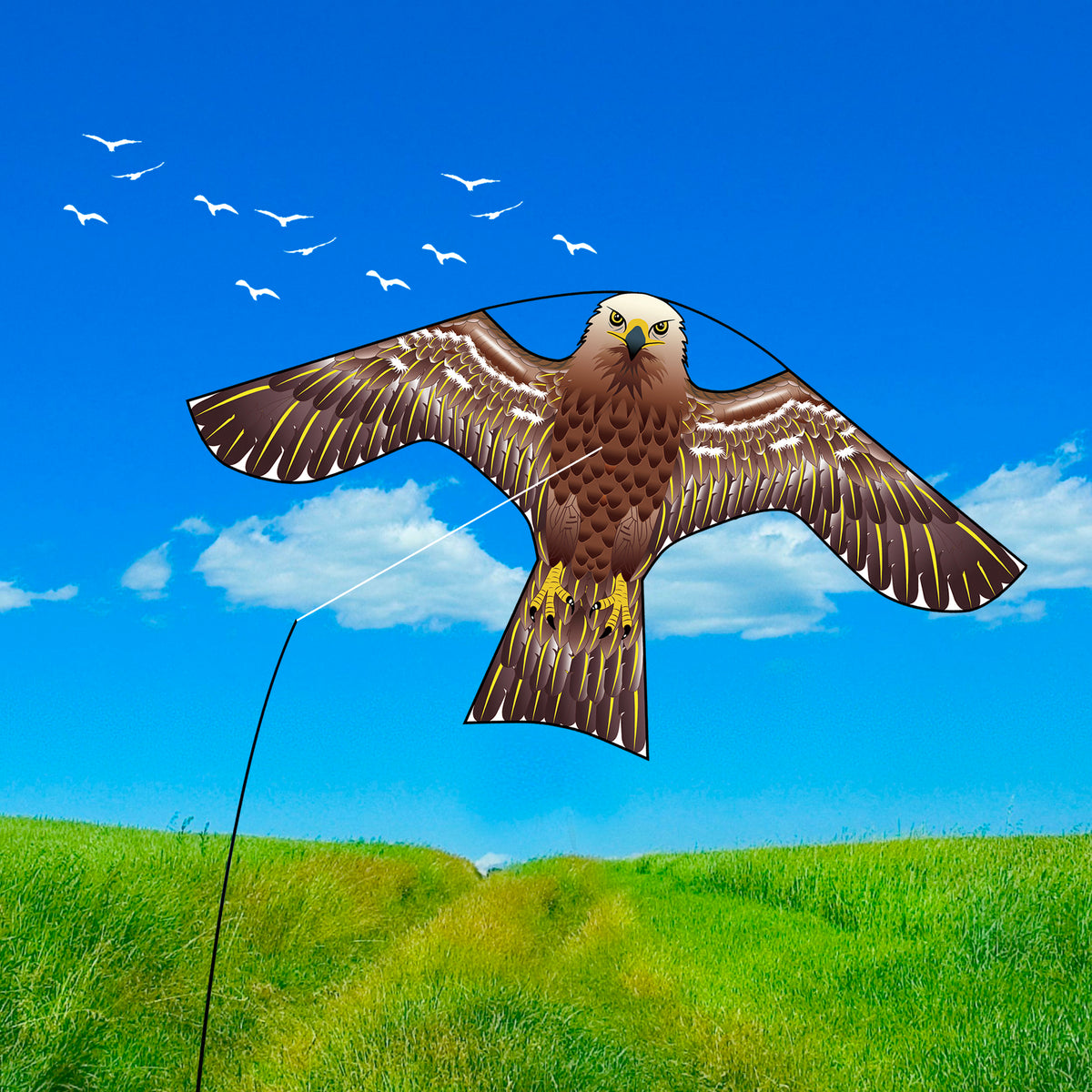PESTEZE® USA Hawk Kite [47x27 Inch Kite with 13 Ft Flagpole] Provides Humane Bird Deterrence in Yards & Farms. Protects Vegetables, Fruits & Crops from Pest Birds & Critters