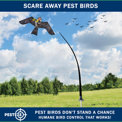 PESTEZE® USA Realistic Eagle Kite [2 Pack- 46 x 26 Inch with 13 ft Flagpole] Use in Yards & Farms to Protect Vegetables, Fruits & Crops from Pest Birds & Critters without Harming Them