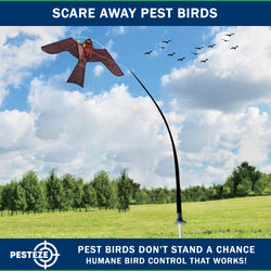 PESTEZE® USA Realistic Hawk Bird Scarer Kite [46 x 26 Inch with 13 ft Flagpole]. Use in Yards & Farms to Protect Vegetables, Fruits, Crops & Buildings from Pest Birds & Critters without Harming Them