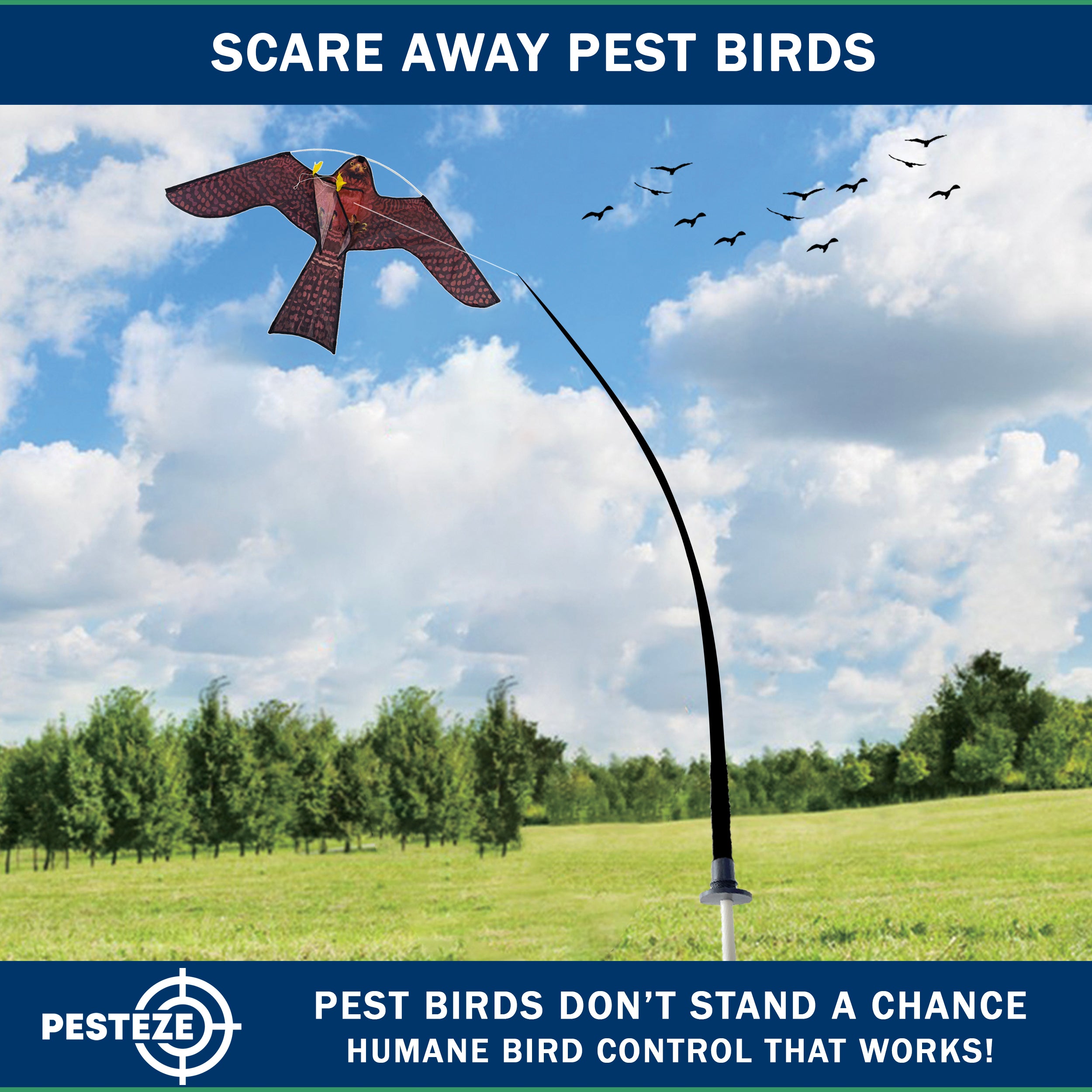PESTEZE® USA Realistic Hawk Bird Scarer Kite [46 x 26 Inch with 13 ft Flagpole]. Use in Yards & Farms to Protect Vegetables, Fruits, Crops & Buildings from Pest Birds & Critters without Harming Them