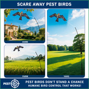 PESTEZE® USA Realistic Eagle Kite [2 Pack- 46 x 26 Inch with 13 ft Flagpole] Use in Yards & Farms to Protect Vegetables, Fruits & Crops from Pest Birds & Critters without Harming Them