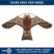 PESTEZE® USA Hawk Kite [47x27 Inch Kite with 13 Ft Flagpole] Provides Humane Bird Deterrence in Yards & Farms. Protects Vegetables, Fruits & Crops from Pest Birds & Critters