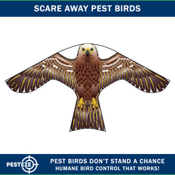 PESTEZE® USA Hawk Kite [47x27 Inch Kite with 13 Ft Flagpole] Provides Humane Bird Deterrence in Yards & Farms. Protects Vegetables, Fruits & Crops from Pest Birds & Critters
