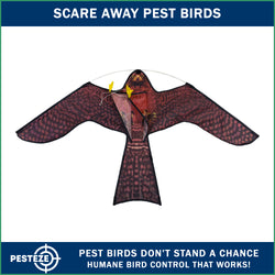 PESTEZE® USA Realistic Hawk Kite [47x27 Inch] EZ & Fun to Fly. Also Provides Humane Bird Deterrence in Yards & Farms. Protects Vegetables, Fruits & Crops from Pest Birds & Critters